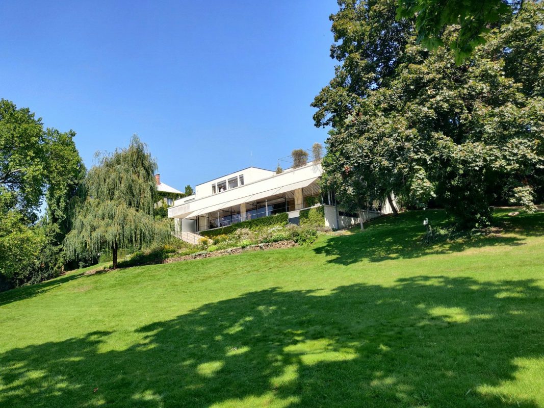 Modern house nestled on a grassy hillside surrounded by trees.